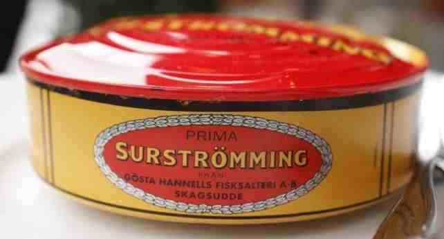 A bulging can of fermented Surstromming
